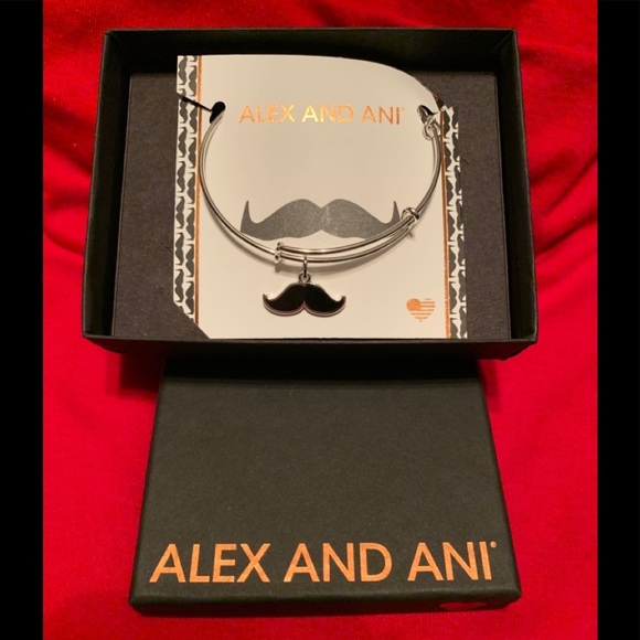 Alex and Ani Jewelry - Alex And Ani Mustache Bracelet